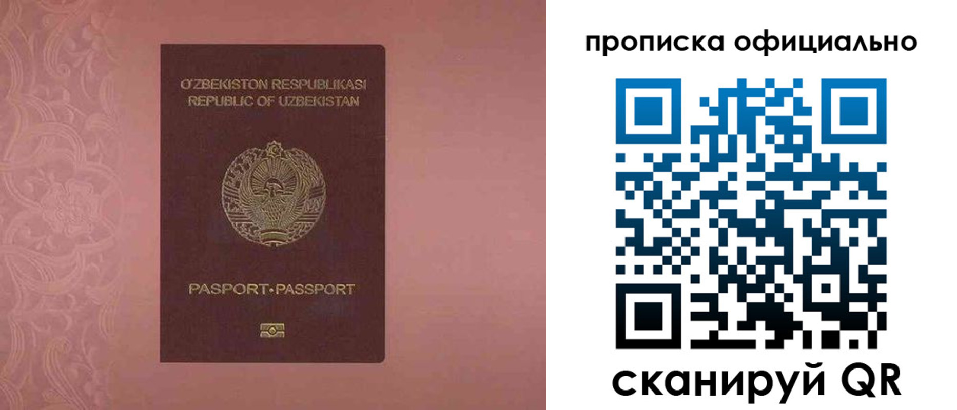 прописка для школы в Железногорске